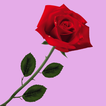 Festa della mamma 2023