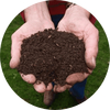 Compost e rifiuti