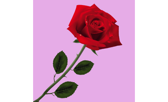 Festa della mamma 2023