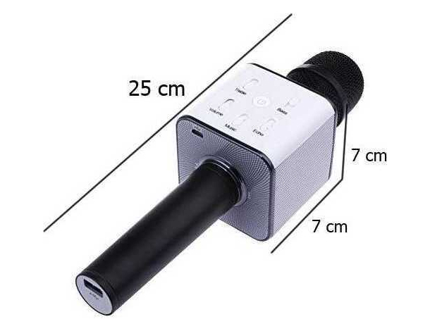 Microfono Wireless Bluetooth Cassa Integrata Echo Batteria Karaoke...