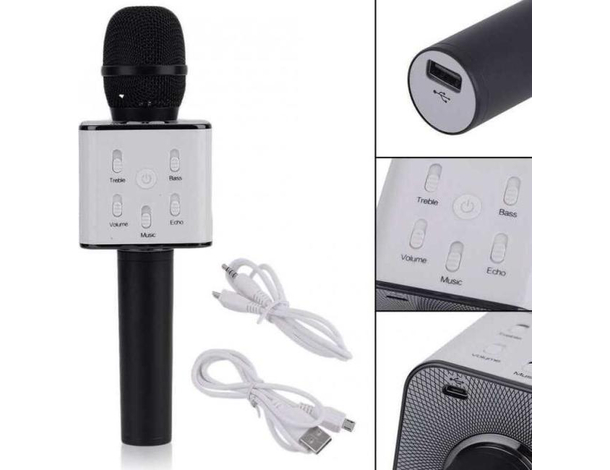 Microfono Wireless Bluetooth Cassa Integrata Echo Batteria Karaoke Altoparlante
