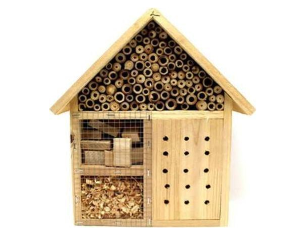 Casetta Per Insetti Legno Naturale Bambù Anti Parassiti Coccinelle Api Giardino
