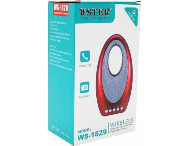 Cassa Bluetooth V4.2 Portatile Wireless WS-1829 Chiamate Mp3 Audio Musica 6