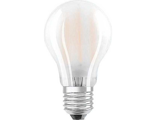 Lampadina a Led 6w Attacco E27 Luce Calda Fredda Naturale Ecologica Bulbo Casa