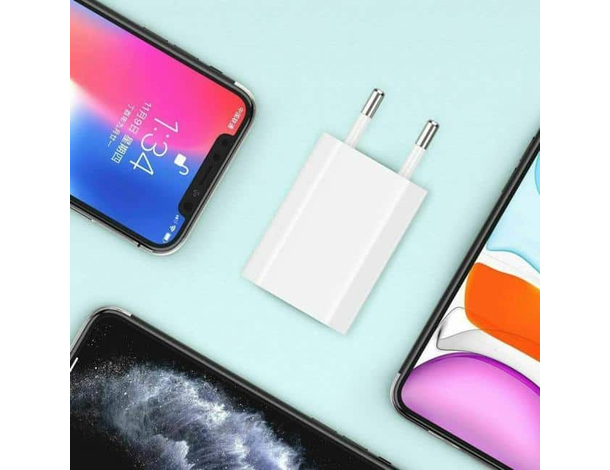 Caricabatterie da Muro Caricatore USB Spina 5V 1A Universale Protezione ++ 2