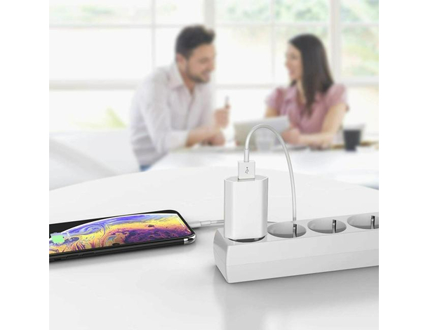Caricabatterie da Muro Caricatore USB Spina 5V 1A Universale Protezione ++ 4
