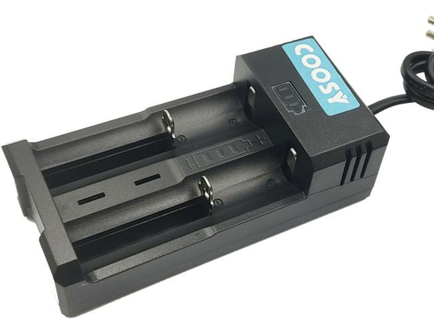 Caricabatterie 2 Pile Ricaricabili Batterie AA Ni-MH Ni-Cd AAA Stilo Led AC 220V