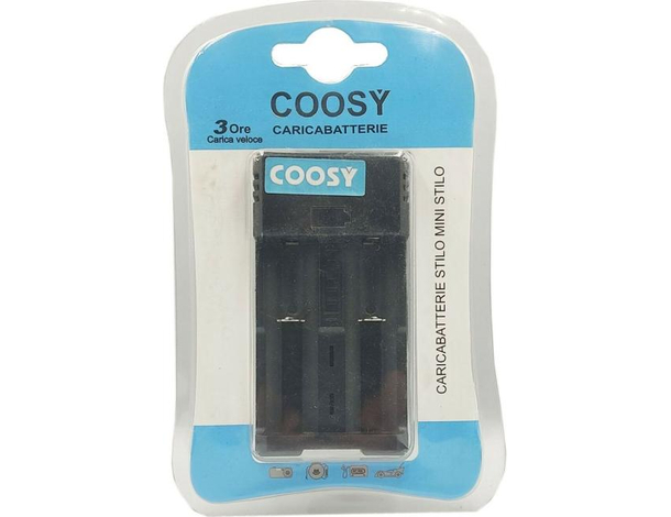 Caricabatterie 2 Pile Ricaricabili Batterie AA Ni-MH Ni-Cd AAA Stilo Led AC...