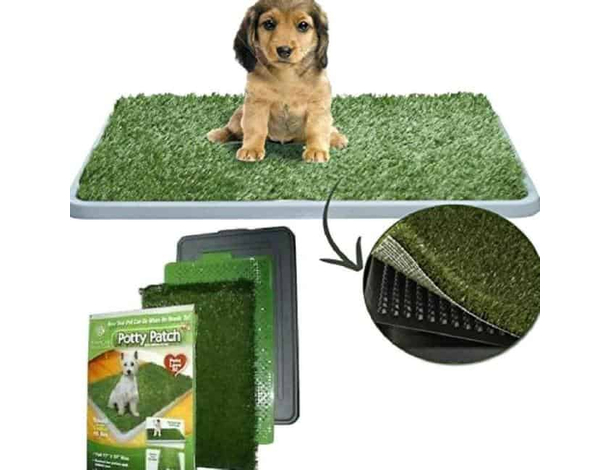 Lettiera Maxi WC Per Cani e Gatti di Media Taglia con Erba Sintetica Assorbente