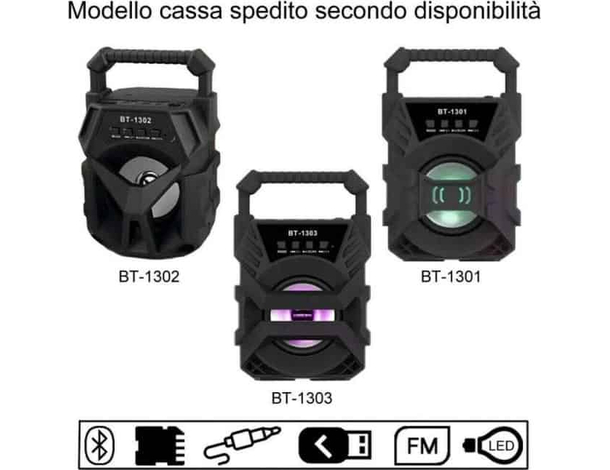 Cassa Bluetooth Con Radio Portatile USB AUX TF CARD Speaker Smartphone Luce LED