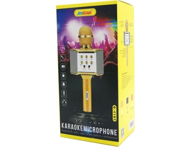 Microfono Con Cassa Altoparlante Senza Fili Bluetooth Con Eco Karaoke USB FM TF