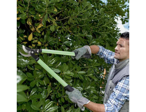 Troncarami 33.5cm Tagliarami Cesoie Potatura Rami Forbice Forbicione Siepi 4