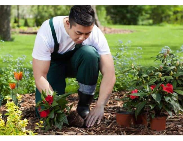 Rastrello da Giardino per Aiuole 9 Denti Scopetta Acciaio Manico in Legno...