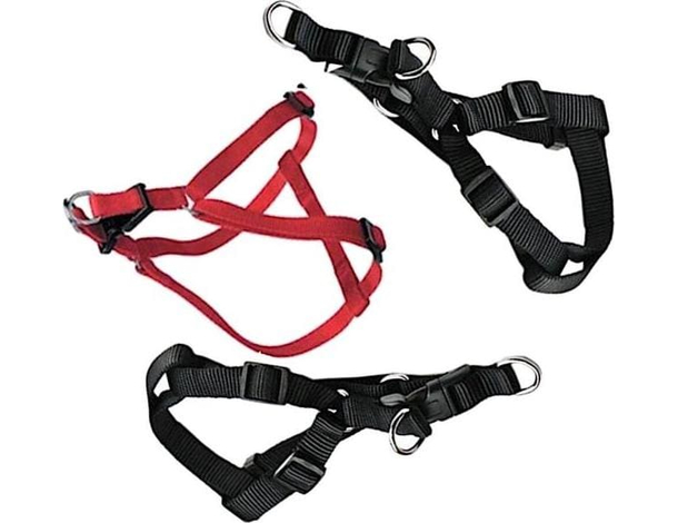 2x Pettorina Cani Taglia Piccola Imbragatura Completa Regolabile Passeggio