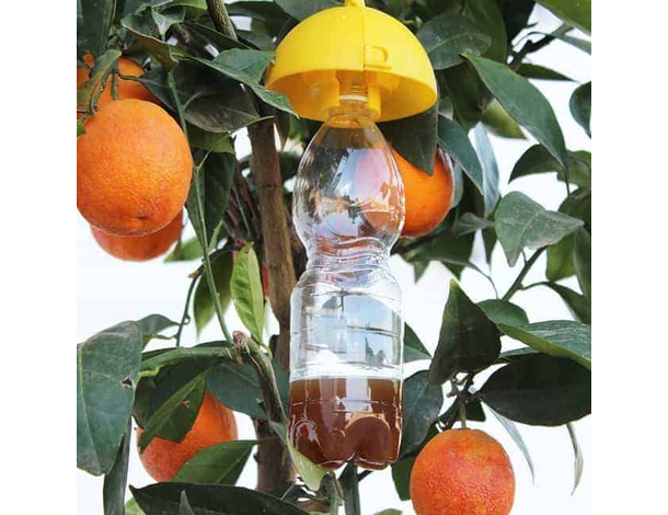 5x Tappo Universale Cattura Insetti Trappola Bio Giardino Giardinaggio...