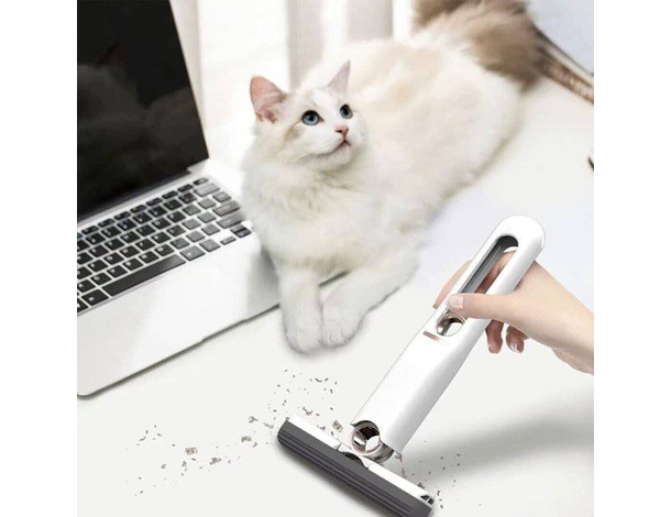 Mini Mop Mocio Tira Acqua Portatile Spugna Ecologica per Auto Finestre...