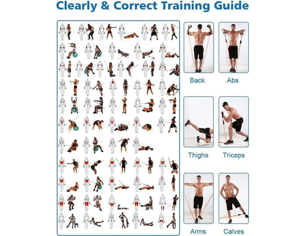 Kit 10 Fasce Bande Elastiche Elastici Fitness Palestra Resistenza Maniglie...