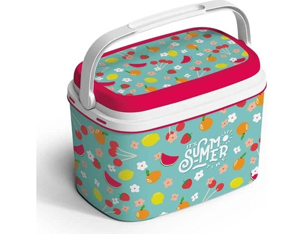 Frigo Passivo Termico in Plastica Antigraffio da 6 LT Portatile Azzurro Outdoor