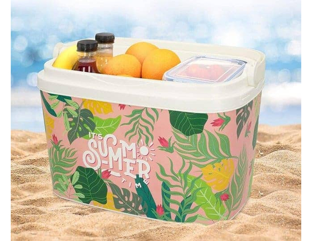 Frigo Passivo in Plastica Antigraffio da 6lt Portatile Rosa Spiaggia Outdoor...