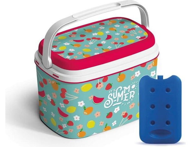 Frigo Passivo Termico in Plastica Antigraffio da 6 LT Portatile Azzurro...