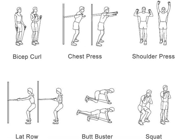 Elastici Fitness Banda Elastica di Resistenza Allenamento Fascia 30lb...