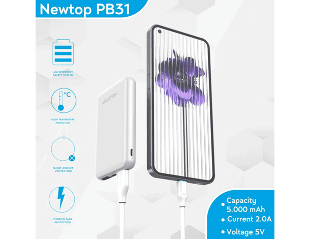 Power Bank doppia ricarica veloce USB portatile universale 5000 mAh PB31...