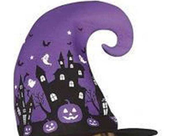 Costume Carnevale strega travestimento streghetta bambina 12-24 mesi...