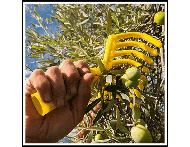 10x Rastrelli Raccolta Olive Pettine 9 Denti Foro per Manico Rastrello...