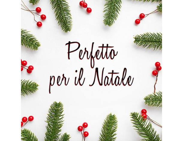 Decorazione Natalizia Scatola Renna in Ceramica Contenitore Caramelle 14x25...