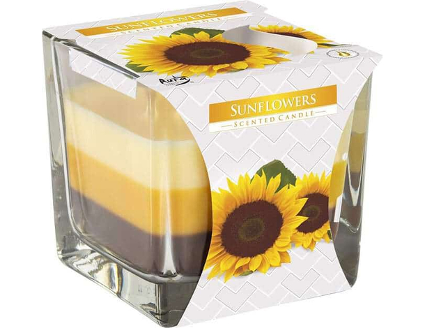 6x Candela Profumata per Casa Ambiente 32 Ore in Vetro 170gr Varie...