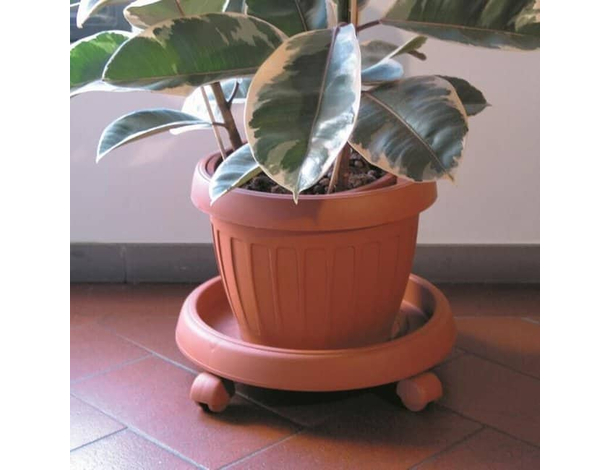 Sottovaso con Ruote Plastica Simil Terracotta Plastica Fioriera Vari Diametri...