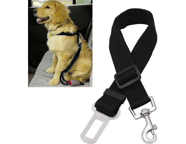 Cintura di Sicurezza Cane Guinzaglio Regolabile Auto Universale Collare Nero
