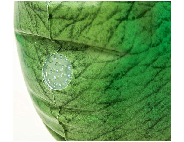 Gioco Gonfiabile a Forma di Dinosauro Spruzza Acqua Per Bambini Estate 4