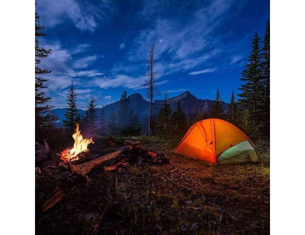 24 Pezzi Picchetto a V 23 cm per Tenda in Robusto Metallo Campeggio Picchetti...