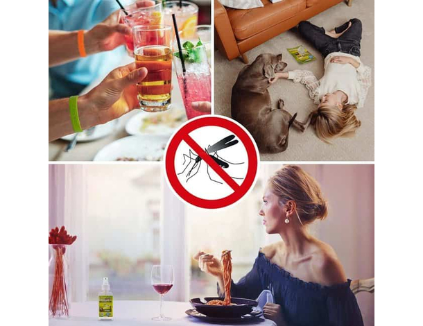 24 pz Acqua Profumata Spray Alla Citronella Anti Zanzare 100ml Made in Italy...