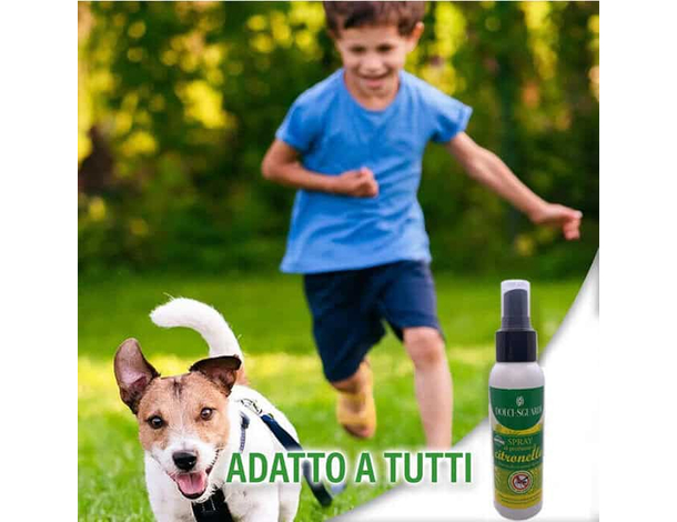 24 pz Acqua Profumata Spray Alla Citronella Anti Zanzare 100ml Made in Italy...