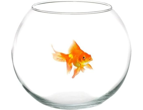 Ampolla Boccia In Vetro Trasparente 35 Cm Acquario Per Pesci Centrotavola