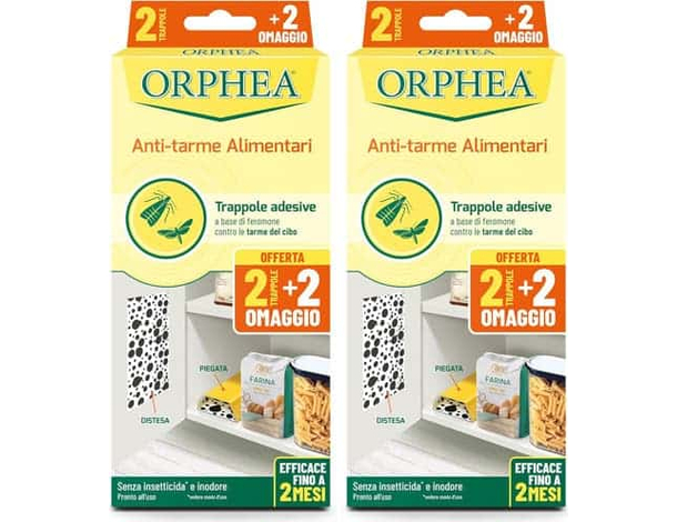 8 Anti-Tarme Alimentari Elimina le farfalle del cibo e previene sviluppo ORPHEA