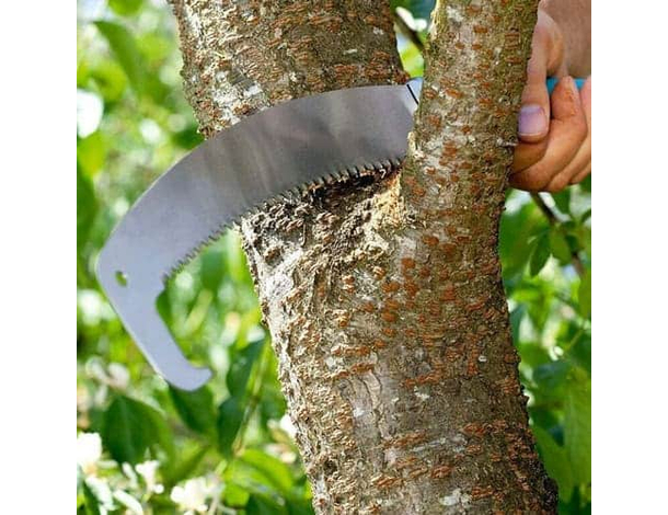 Seghetto per asta segaccio svettatoio potatore sega ascia ronca roncola 35cm...