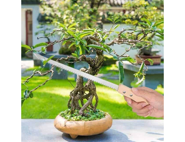 Seghetto Sega per Potatura Taglia Rami di Legno Legna a Mano Manuale Lama 22...