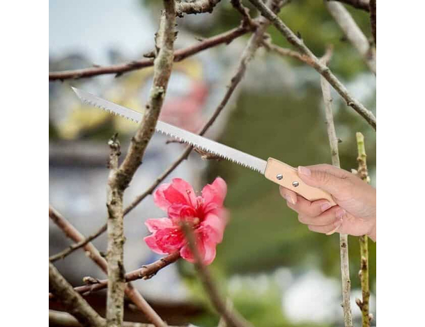 Seghetto Sega per Potatura Taglia Rami di Legno Legna a Mano Manuale Lama 22...
