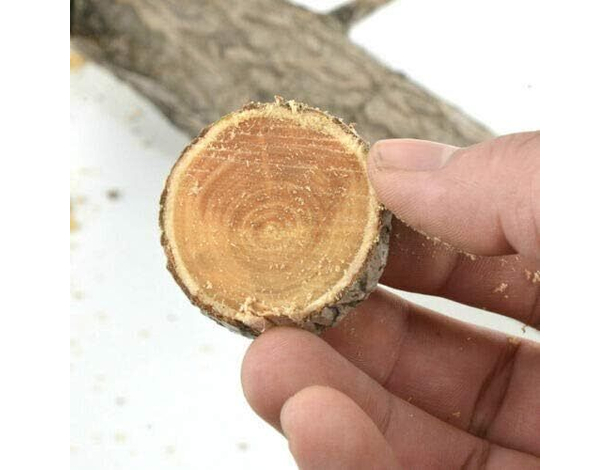 Segaccio Sega da Pota per Potatura Lama Dritta 27cm Seghetto Rami con Fodero...