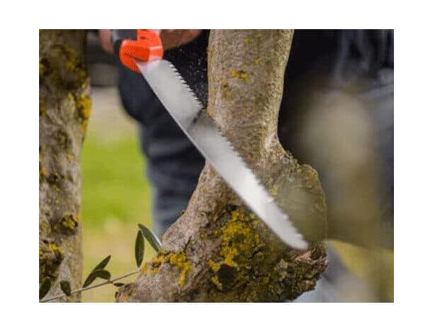 Segaccio Sega da Pota per Potatura Lama Dritta 27cm Seghetto Rami con Fodero...