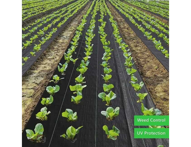 Telo pacciamatura nero antiradice antialga per erbacce orto agritela 1x100 mt...