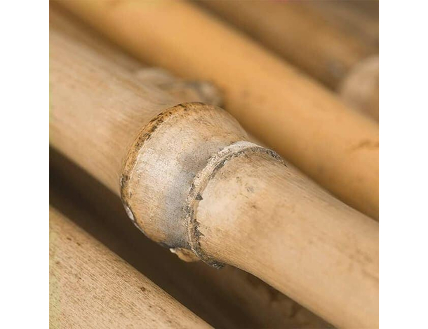 25 Canne di Bamboo per orto 150 cm Bambù tutori sostegno per piante canna 3