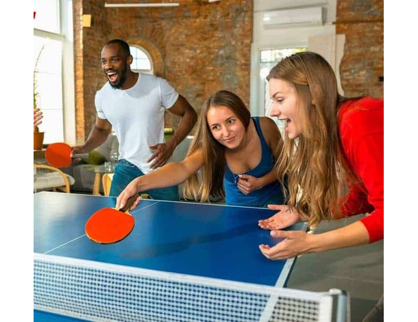 Set Ping pong tennis da tavolocon racchette + 2 palline gioco portatile borsa...