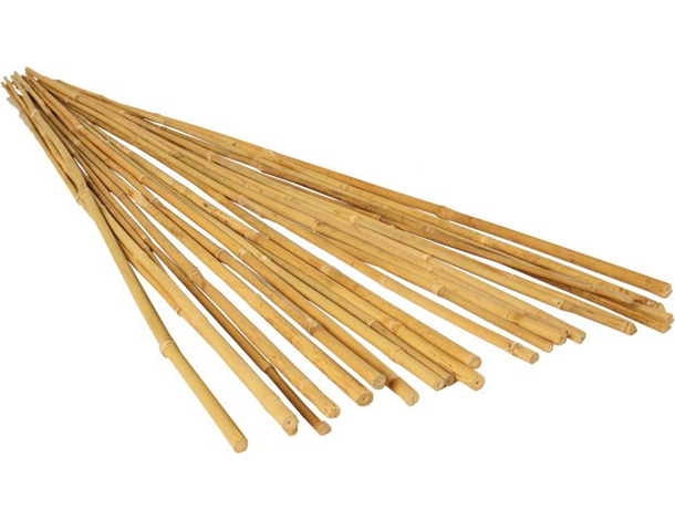 25 Canne di Bamboo per orto 150 cm Bambù tutori sostegno per piante canna 2