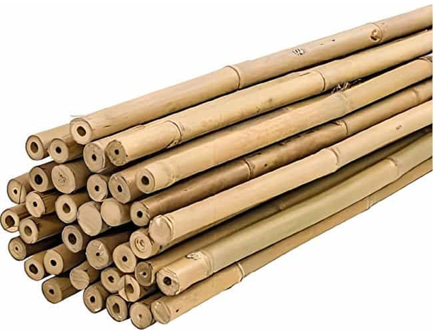 50 Canne di Bamboo per orto 120 cm Bambù tutori sostegno per piante D.14/16 MM