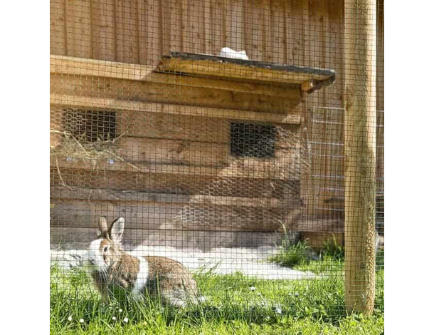 Rete Metallica per Recinzioni giardino Plastificata Rigida rotolo da 1x10 m...