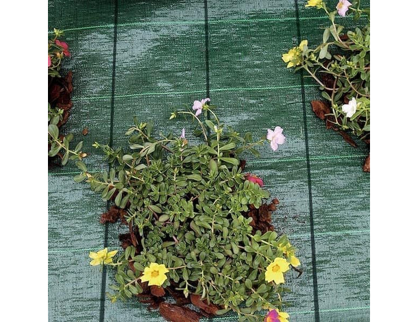 Telo pacciamatura verde antiradice antialga per erbacce orto agritela 1x100...